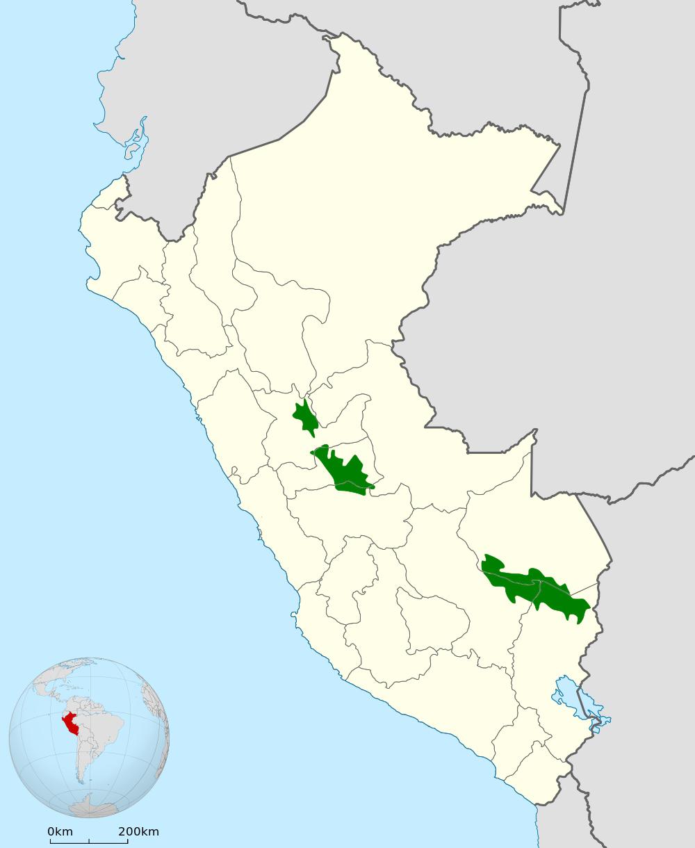 秘鲁斑尾蜂鸟 / Peruvian Piedtail / Phlogophilus harterti