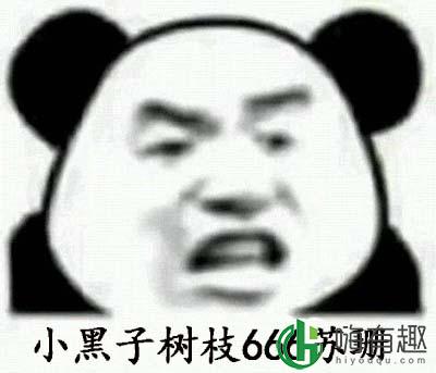 苏珊是什么意思 苏珊是什么梗